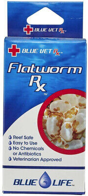 BLUE LIFE FLATWORM RX 30ML - LAPOSFÉREG ELLENI SZER